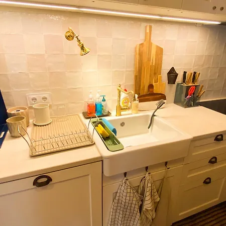 Modern Belle Epoque & Luxury Duplex דירה